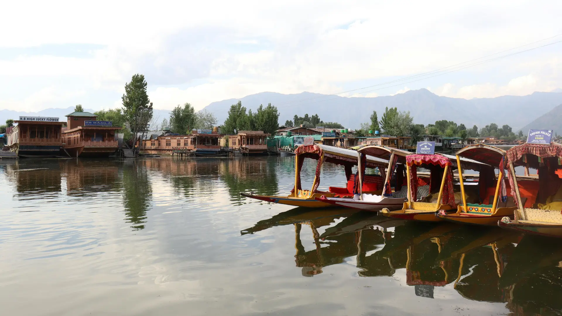 Kashmir