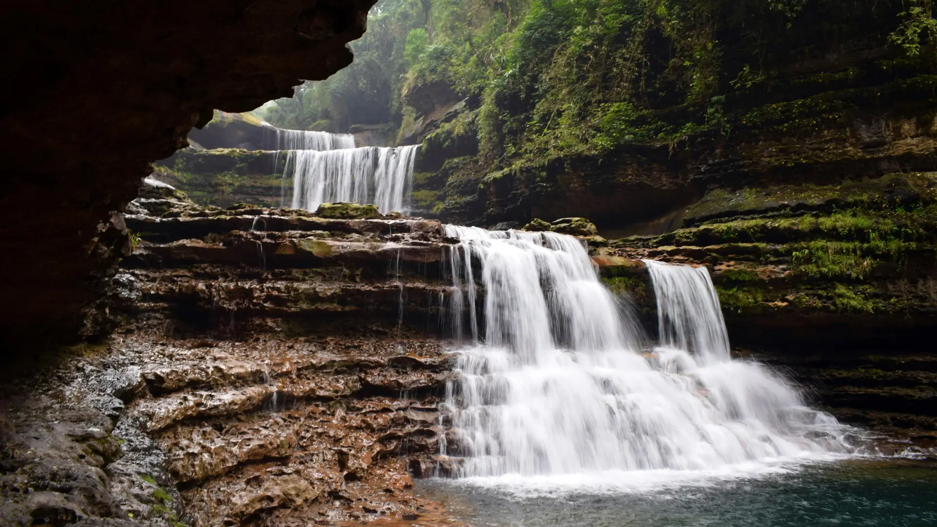 Meghalaya living root bridges and misty hills, a Lamaya Travel Co destination